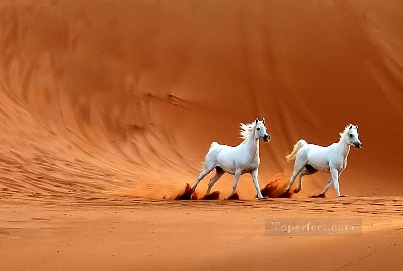 two white horses in desert realistic from photo Oil Paintings